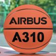 A310 Flat Text Designed Basketball Supply